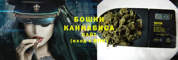 твердый Коряжма