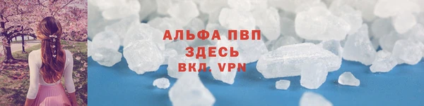 твердый Коряжма
