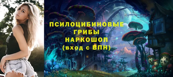 молекула духа Костерёво