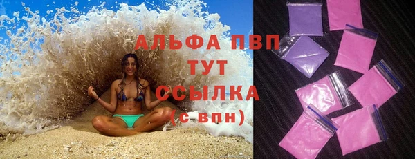 молекула духа Костерёво