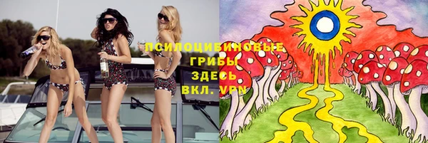 молекула духа Костерёво