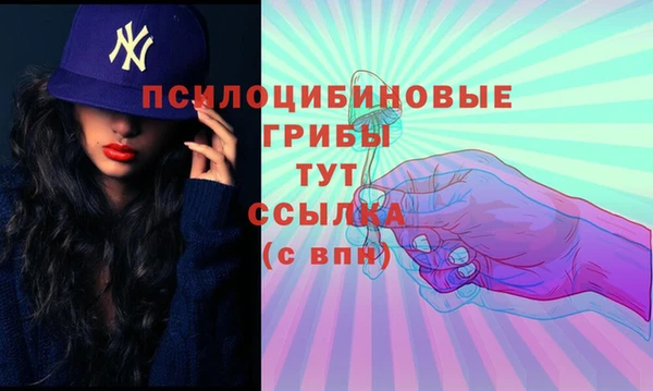 бошки Корсаков