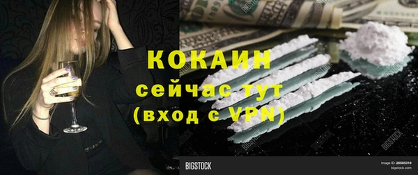 твердый Коряжма